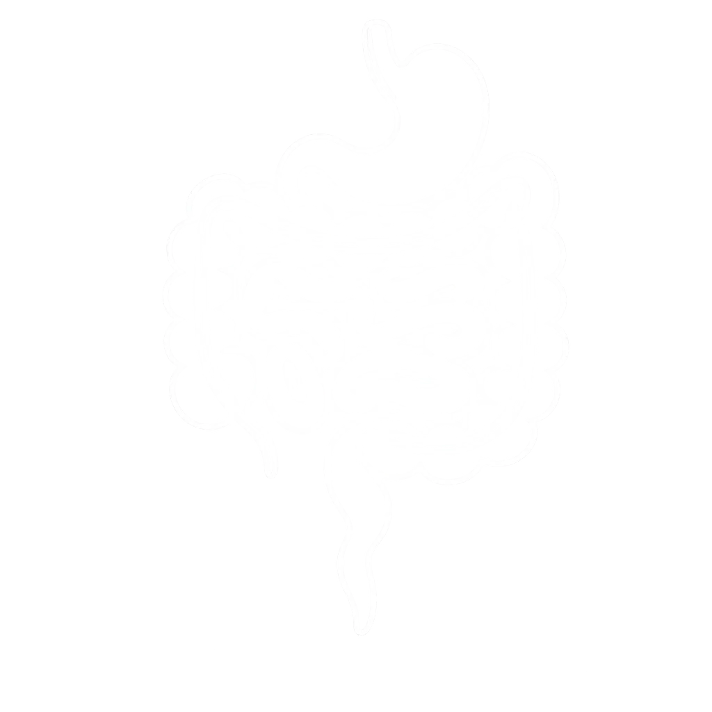 gut illustration